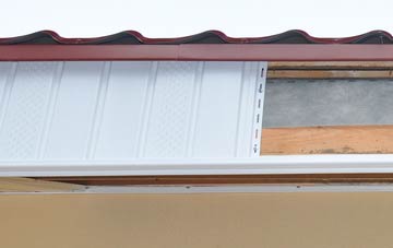 Ruan Major fascia repair costs