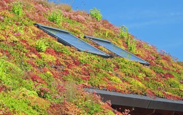 Ruan Major living roof systems