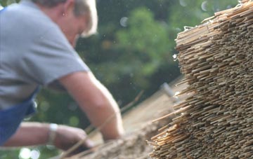 professional Ruan Major thatchers